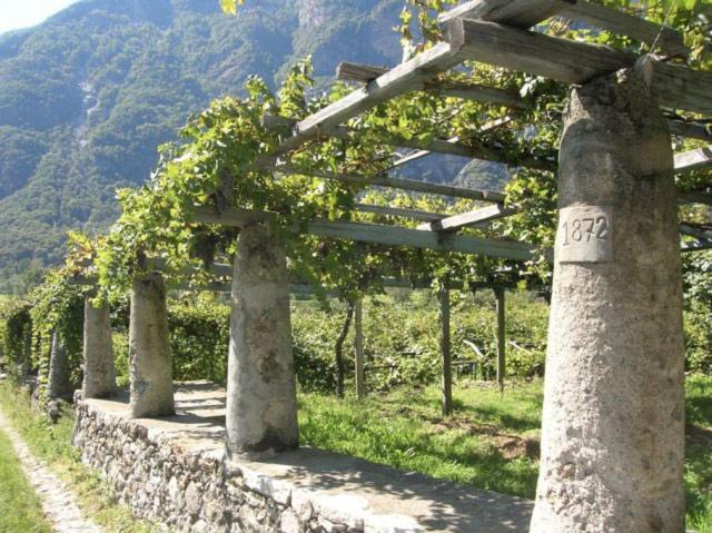 Hotel Asd -Sport E Giovani Borgofranco d'Ivrea Zewnętrze zdjęcie